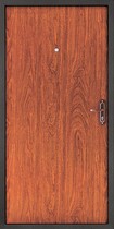 Дверь Форпост Модель 53